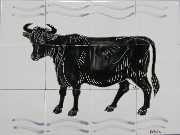 Welsh black cattle